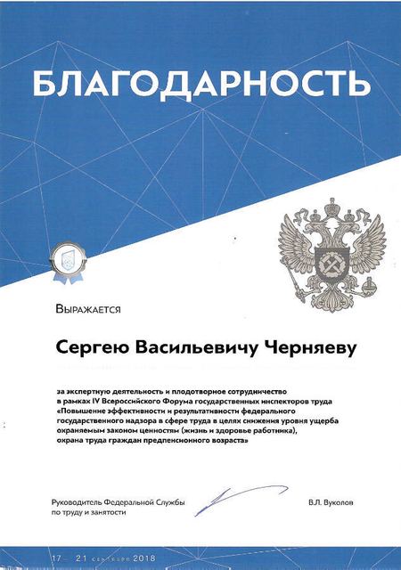 Благодарность Федеральной службы по труду и занятости